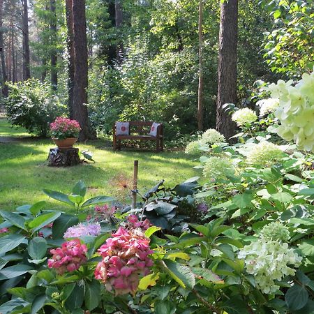 Kastavengrund - Ferienhaeuser Mit Kamin Lychen Exterior foto