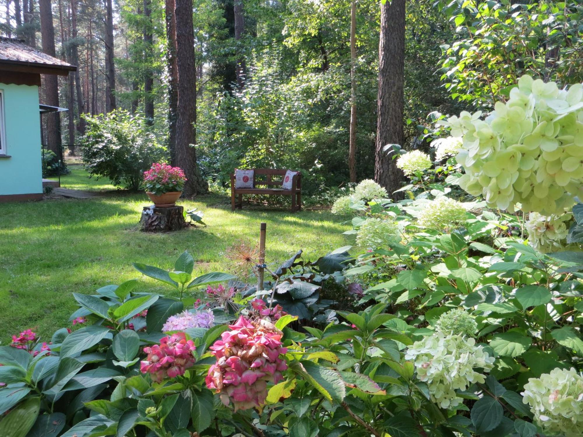 Kastavengrund - Ferienhaeuser Mit Kamin Lychen Exterior foto